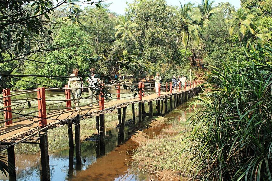 Spice Plantation, Ponda